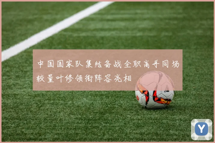 中国国家队集结备战全职高手同场较量叶修领衔阵容亮相