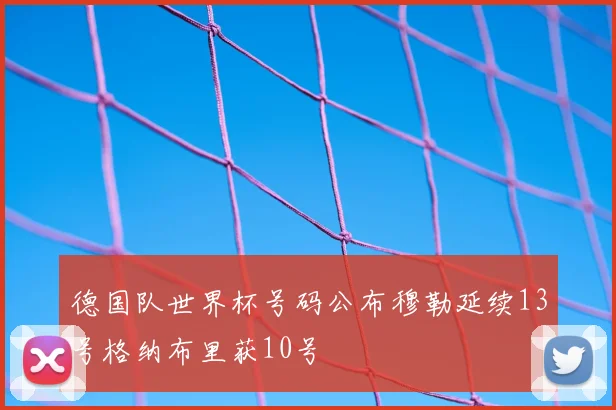 德国队世界杯号码公布穆勒延续13号格纳布里获10号
